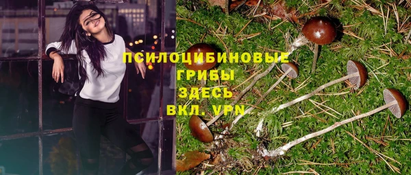 прущая мука Баксан